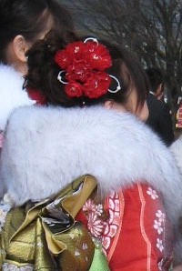 振袖と髪飾りのコーディネート画像